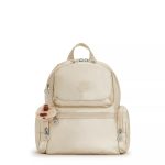Matta Metallic Backpack