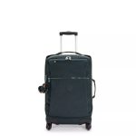 Darcey Small Carry-On Rolling Luggage