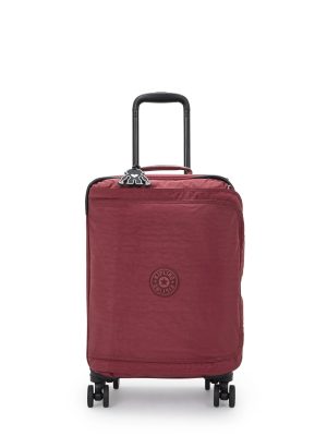 Spontaneous Small Rolling Luggage