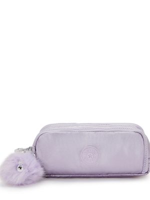 Gitroy Metallic Pencil Case